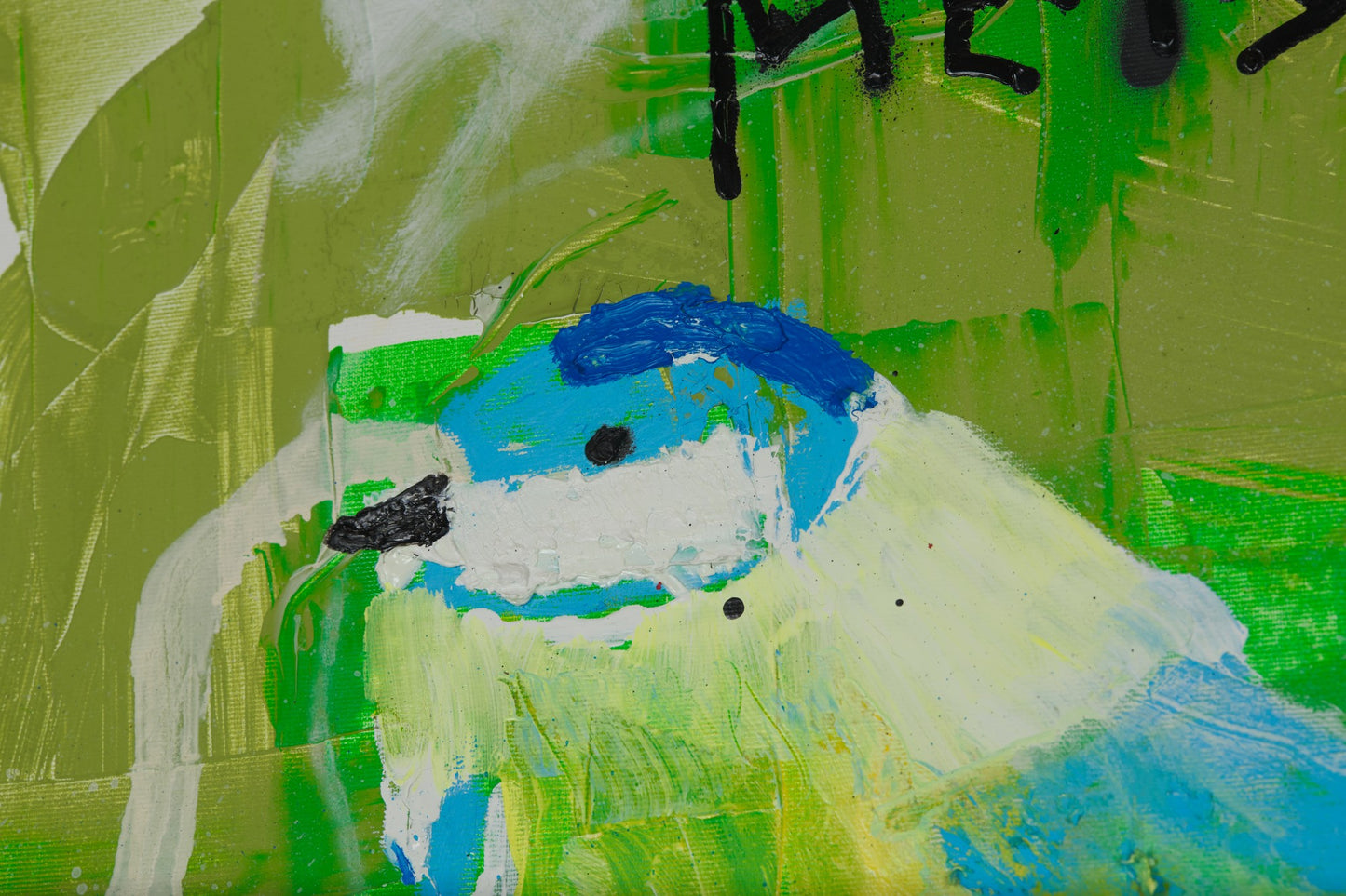 Woher kommt das Meisensterben?