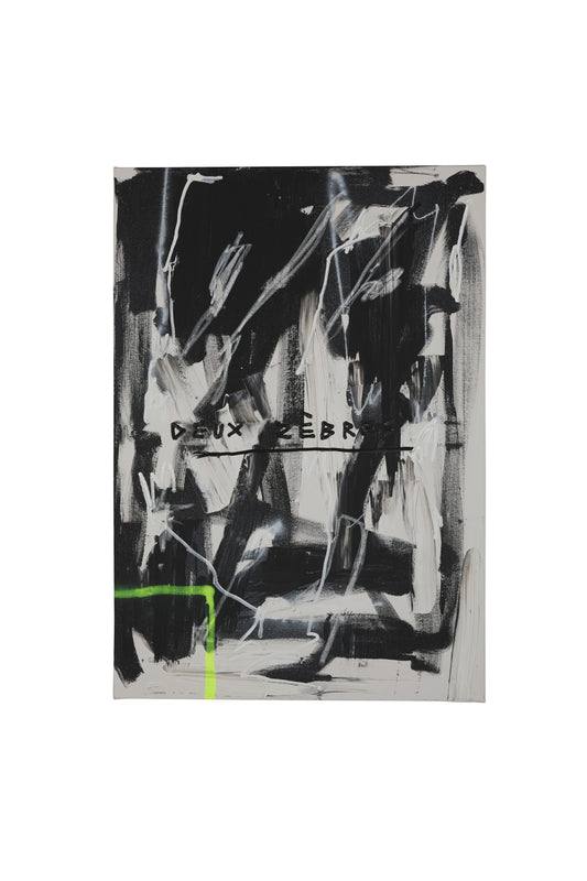 Zwei Zebras aus Paris