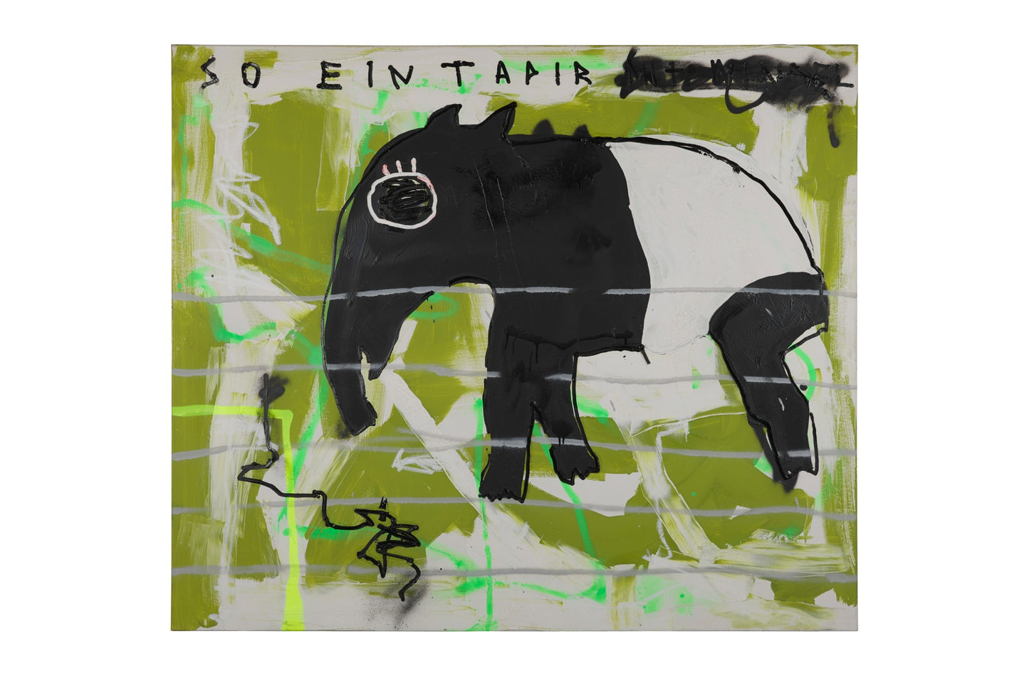 1 Tapir