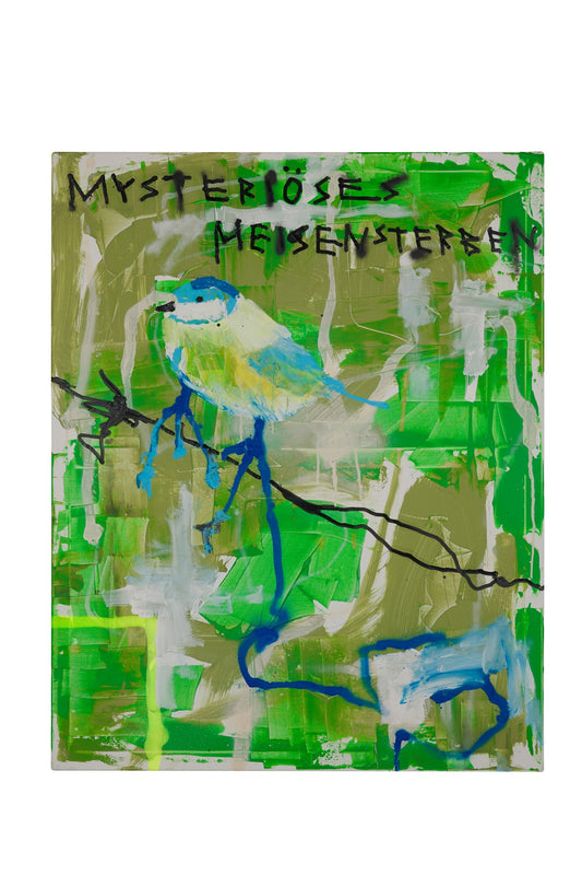 Woher kommt das Meisensterben?