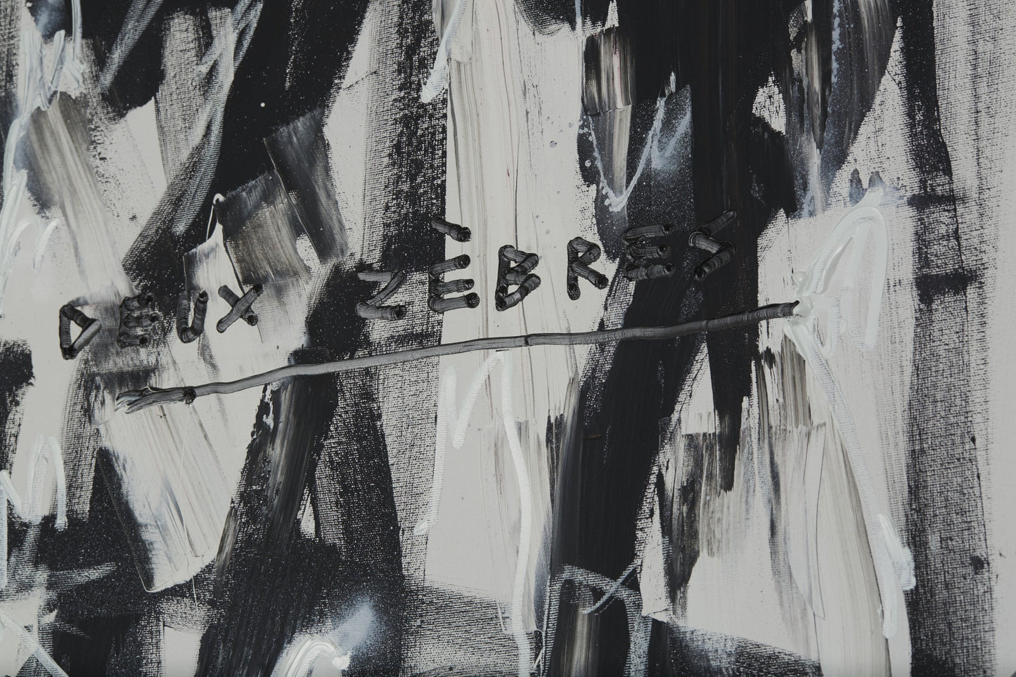 Zwei Zebras aus Paris